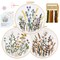 Embroidery Kit for Beginners Set of 3, Flower Pattern Embroidery Kits for Starter or Adults Hand DIY Practice Kit, Step by Step Instructions and Video Tutorial